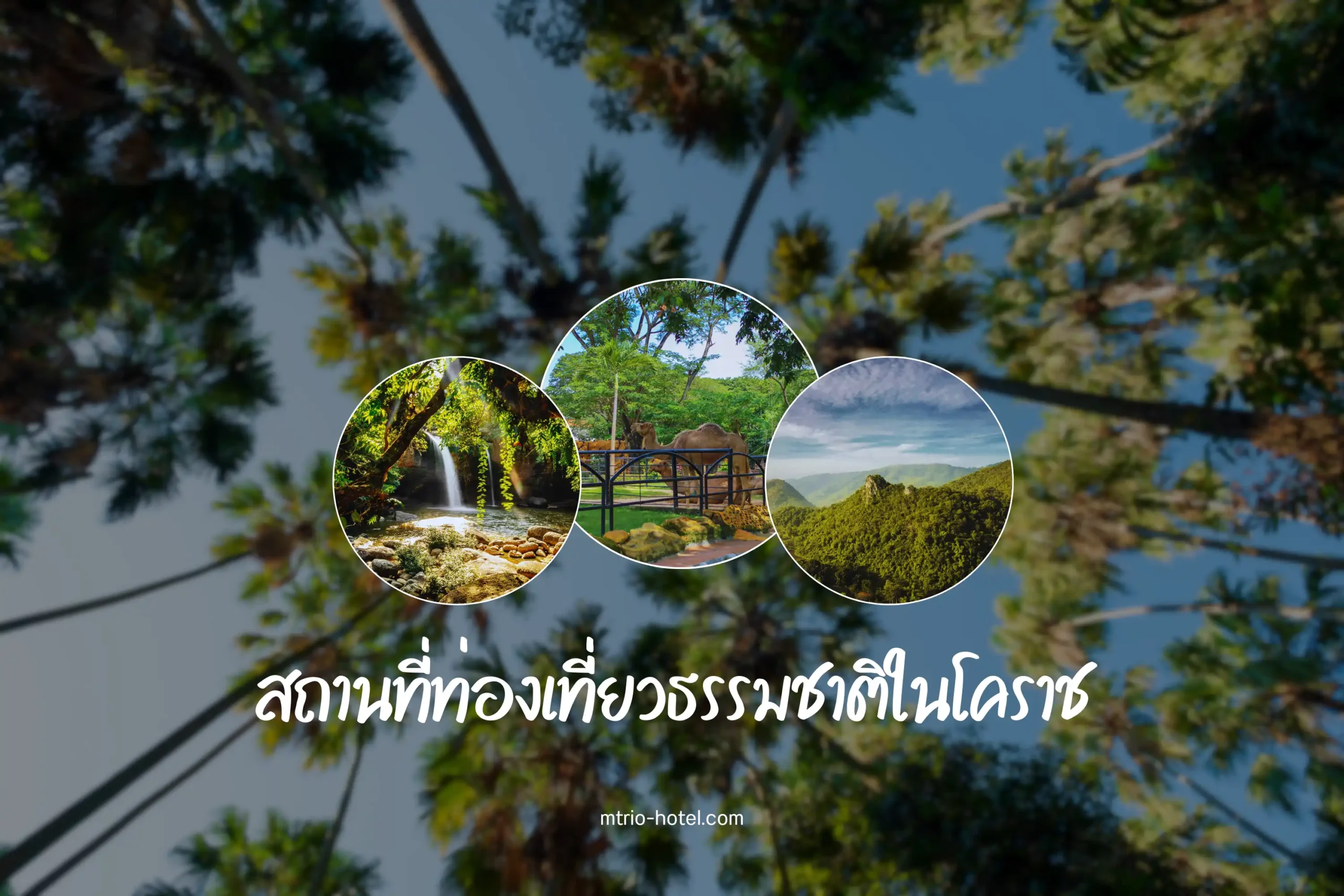 5 สถานที่ท่องเที่ยวธรรมชาติยอดนิยมในโคราช ที่สายรักธรรมชาติต้องไม่พลาด 1 สถานที่ท่องเที่ยวธรรมชาติยอดนิยมในโคราช-cover