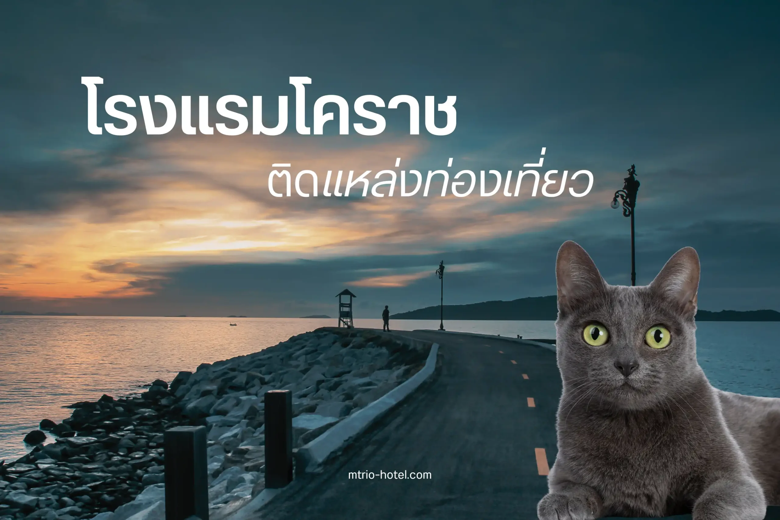 10 โรงแรมโคราชติดแหล่งท่องเที่ยว ใกล้ที่ช็อป แหล่งกิน และธรรมชาติ 1 โรงแรมโคราชติดแหล่งท่องเที่ยว-cover